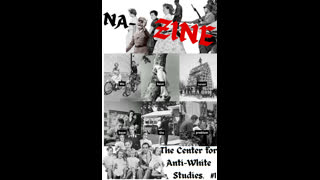Na-Zine #1 Replacement