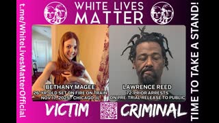 Bethany MaGee Set On Fire By Nigger On Subway