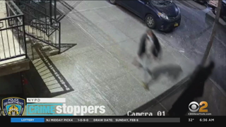 Antisemitic Incidents Under Investigation