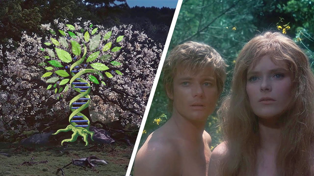 The Fall of Man | What Really Happened in the Garden of Eden?