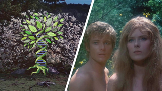 The Fall of Man | What Really Happened in the Garden of Eden?