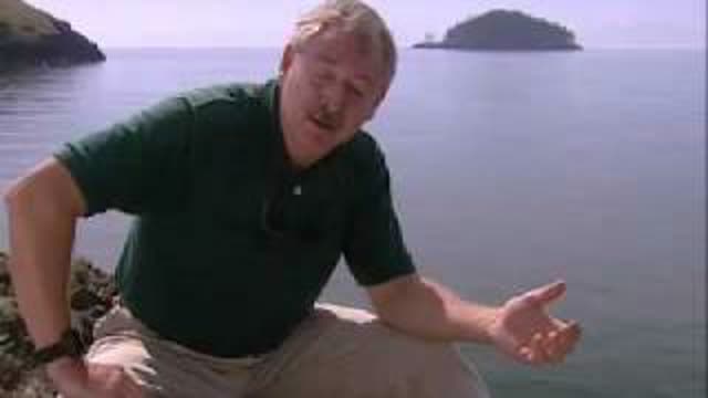 Fearing the future - Mega Tsunami - BBC