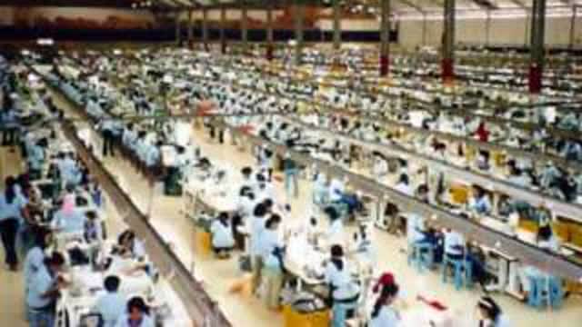 Demon pigs at war with our future