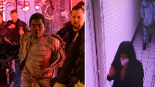 A Nigger from niggronia Stalks Asian Woman Stabs Her To Death For No Reason In NYC