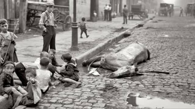 The Orphan Train Era:  Why was there an Orphan Train?