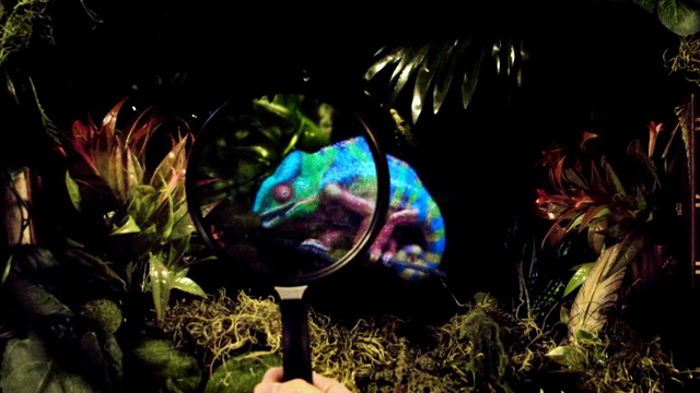 REAL holograms are finally here! (And they look very cool)