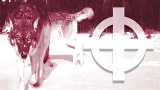 WWCM  - Das Blitzkrieg