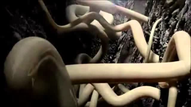 Kraftwerk - RadioaktivitÃ¤t (1991)