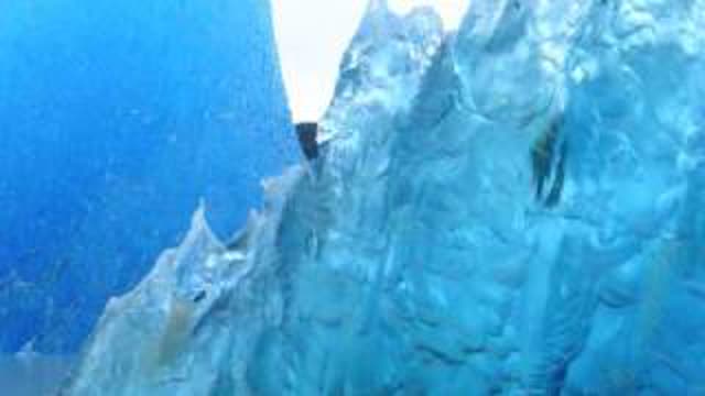 Klincz - Jak lodu bryÅ‚a