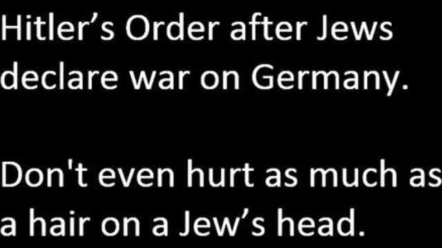 Michael Collins Piper MCP Hitler's Order - Don't even hurt as much as a hair on a jew's head (+book)