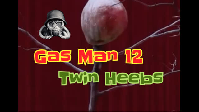 Gas Man 12  Twin Heebs