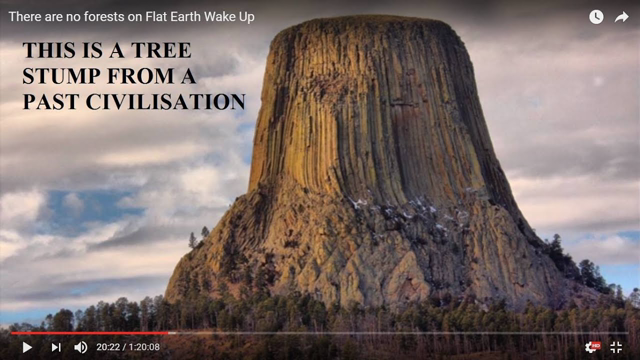 There are no forests on Flat Earth Wake Up (Mirrored)