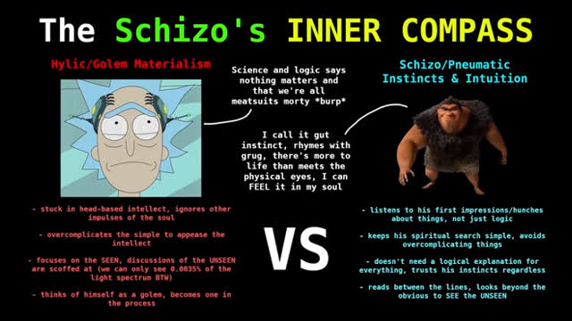 GUT INSTINCT: The Schizo's Inner Compass