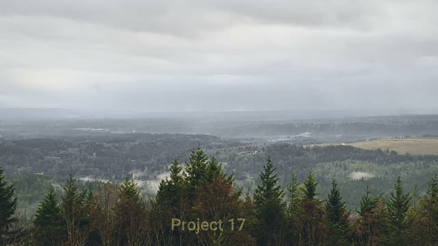 Project 17 (Music For The Reich)