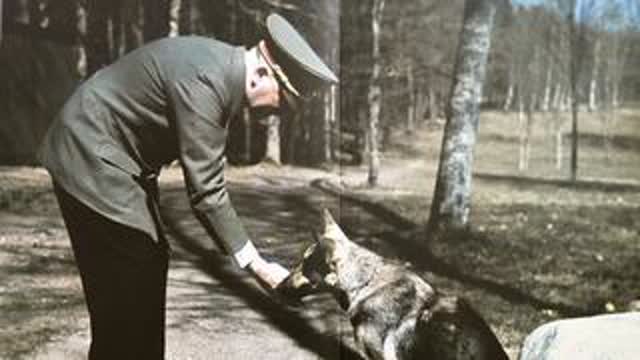 Hitler Sharp Dressed Man