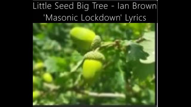 Ian Brown Little Seed Big Tree (Banned On Spotify!) Ant