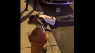 Philadelphia -Why whites are racist? well.. watch