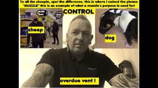 overdue vent! muzzles wearers vs muzzled dog!