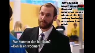 jEw caught smuggling diseased eucalyptus leaves into Au