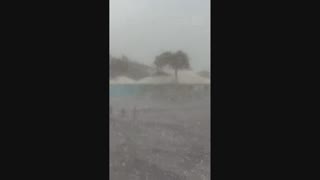 (August 30th--September 8th, 2023) U.S(Jew Ass) Submerged 卐