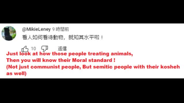 (November 30th 2024) Subhuman China/Chinese communist people attack animals in Hong Kong