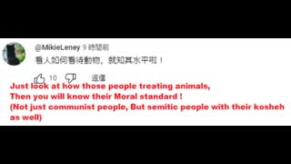 (November 30th 2024) Subhuman China/Chinese communist people attack animals in Hong Kong