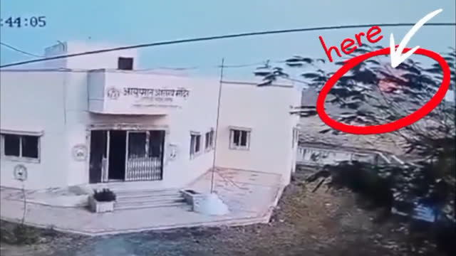 (January 15th--30th, 2026) Subhuman shit skin indian walking poop attack by Elephants and plane crashed