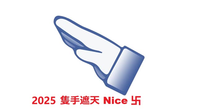 (January 1st, 2025)  2025 隻手遮天 Nice 卐