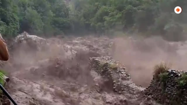 (August 15th--17th, 2025) Shit Skin walking poop cockroach rob in Hong Kong and cut Hong Kong people, India and Pakistan Submerge 卐