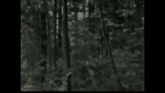 When Freemason/Communist told you that no other dimensions thing exist but only communist exist, So, other dimensions thing come out show up and slaghter them to proved it