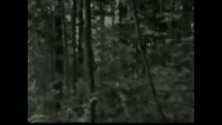 When Freemason/Communist told you that no other dimensions thing exist but only communist exist, So, other dimensions thing come out show up and slaghter them to proved it