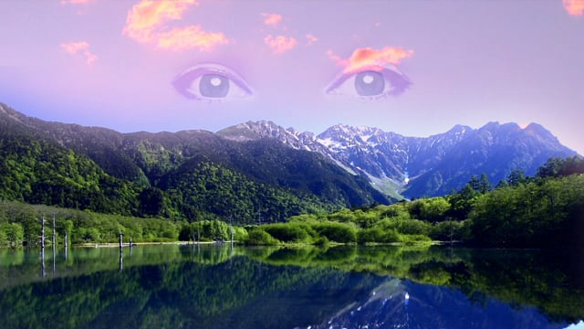 Visualize your 2020 vote.