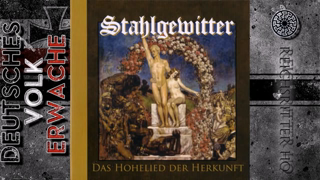 Stahlgewitter - Deine Asche - Dein Grab