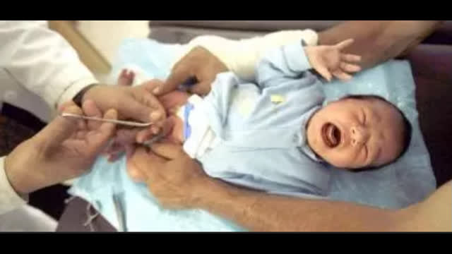 Jewish celebration SUCKING BABY DICKS !