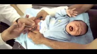 Jewish celebration SUCKING BABY DICKS !