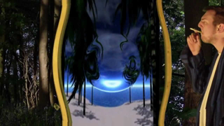 CAN you SEE by STEVE MCGEE (Must see)