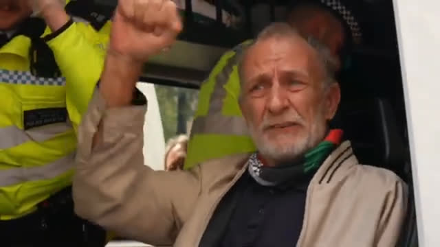 Clashes and arrests at Palestine Action protest in London