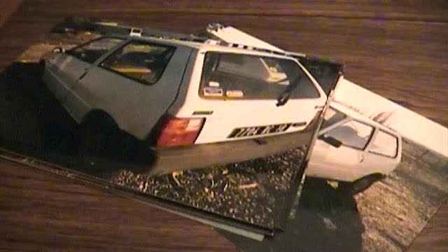 Diana - The Night She Died : Real Stories