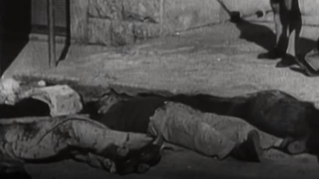 Israelâ€™s Apartheid Against Palestinians: Amnesty Report