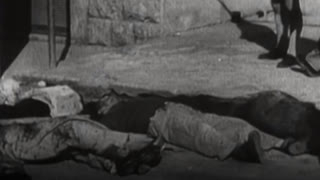 Israelâ€™s Apartheid Against Palestinians: Amnesty Report