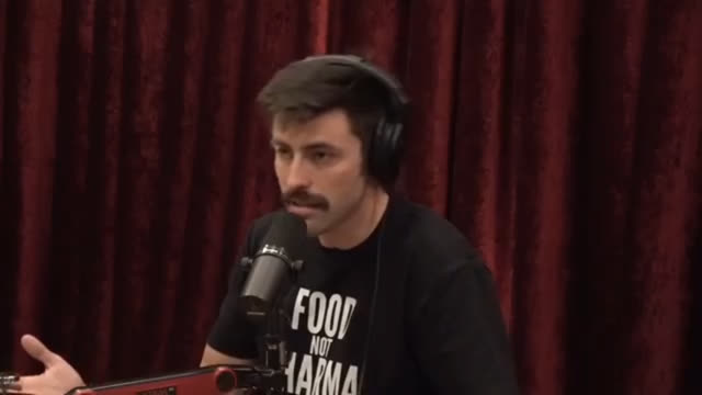 Ian Carroll   How Israel made Epstein