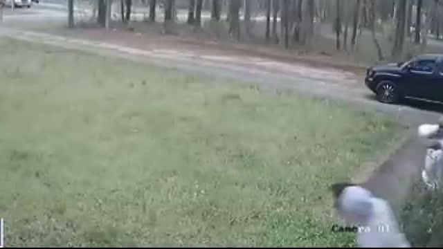 Black father and son get in shootout with each other.  The most shocking thing about this video is there's a black father spending time with his son