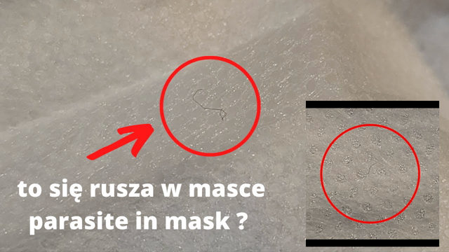 Ruchome, syntetyczne wÅ‚Ã³kna w maskach ? Na pewno chcesz to w pÅ‚ucach ?