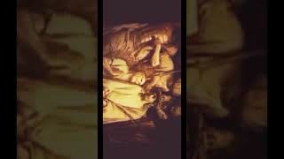 Pedophilia in Talmudic Rabbinic Judaism Law -Part 1