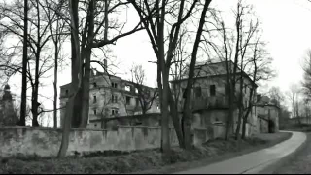 Reinhard Heydrich The Mason Hunter