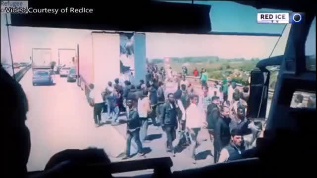 The Kalergi Plan - Mathew North Full Documentary