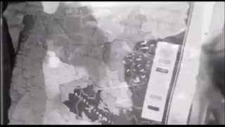 German elation under Hitler's National-Socialism