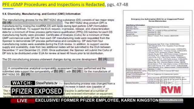 KAREN KINGSTON -  Former Pfizer Employee Confirms Poison in COVID 'Vaccine'