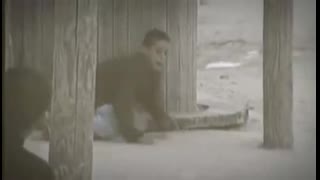 Everlast 'The Stone In My Hand'  (Palestine Tribute)