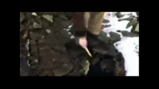 The Fred Leuchter Report - Holocaust Truth